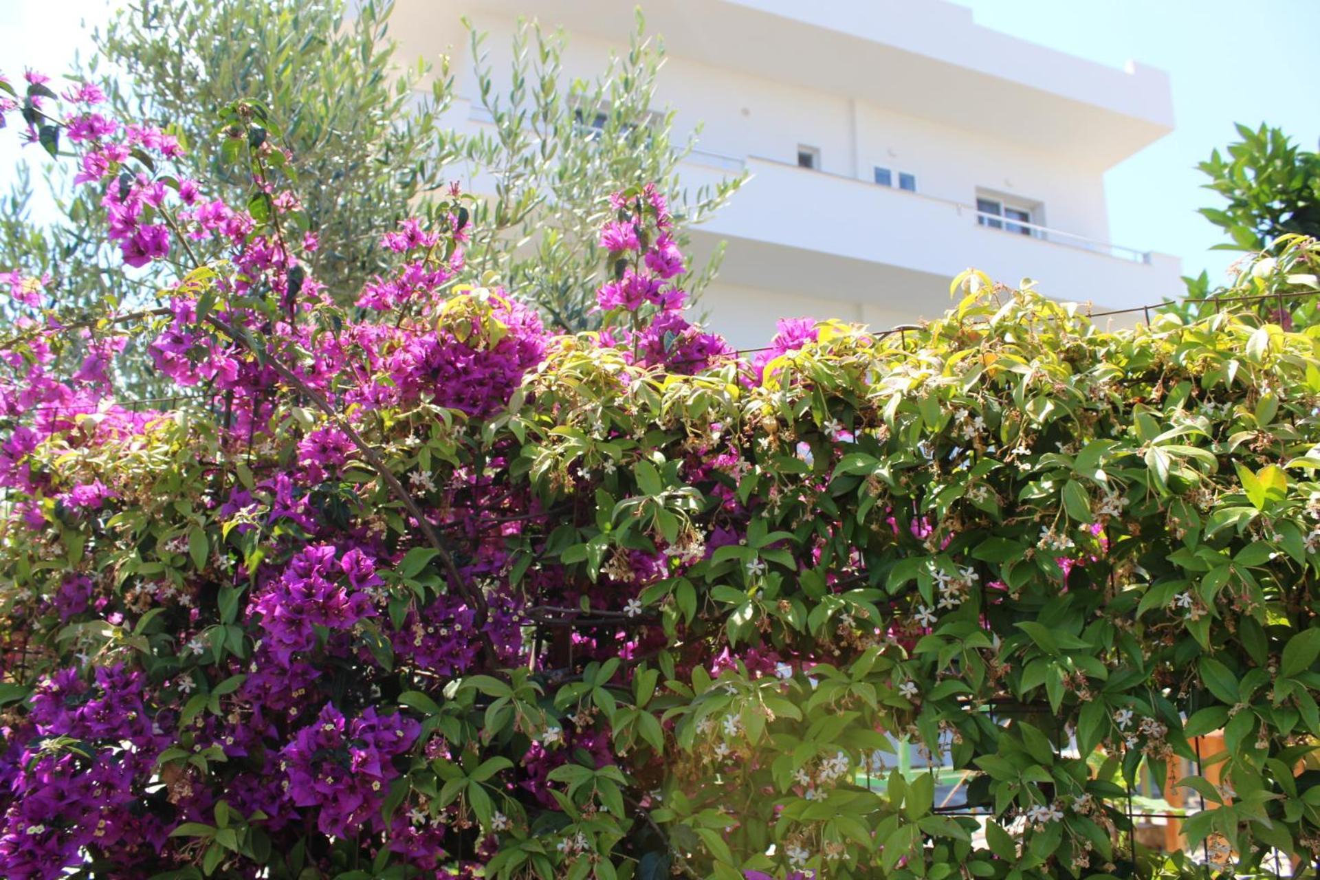 Seli'S Villa คซามิล ภายนอก รูปภาพ